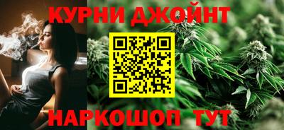 прущие грибы Краснодар