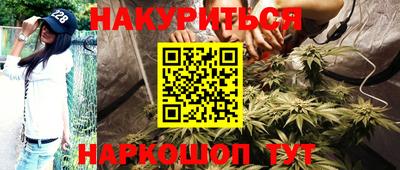 прущие грибы Краснодар